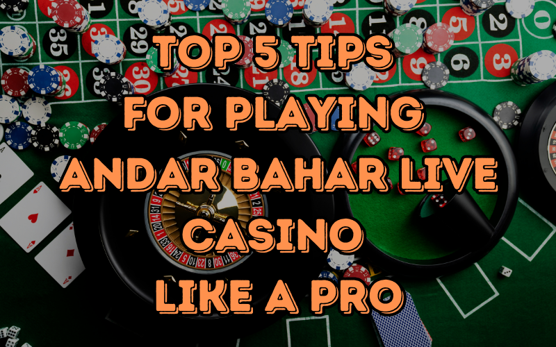 andar bahar live casino